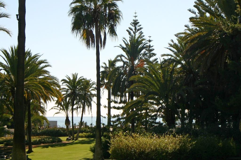Marbella Apartamentos Sl Экстерьер фото